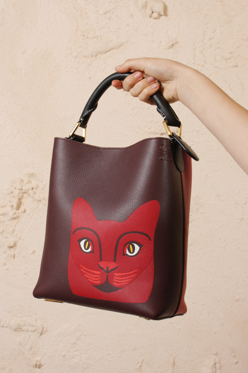 loewe cat bag