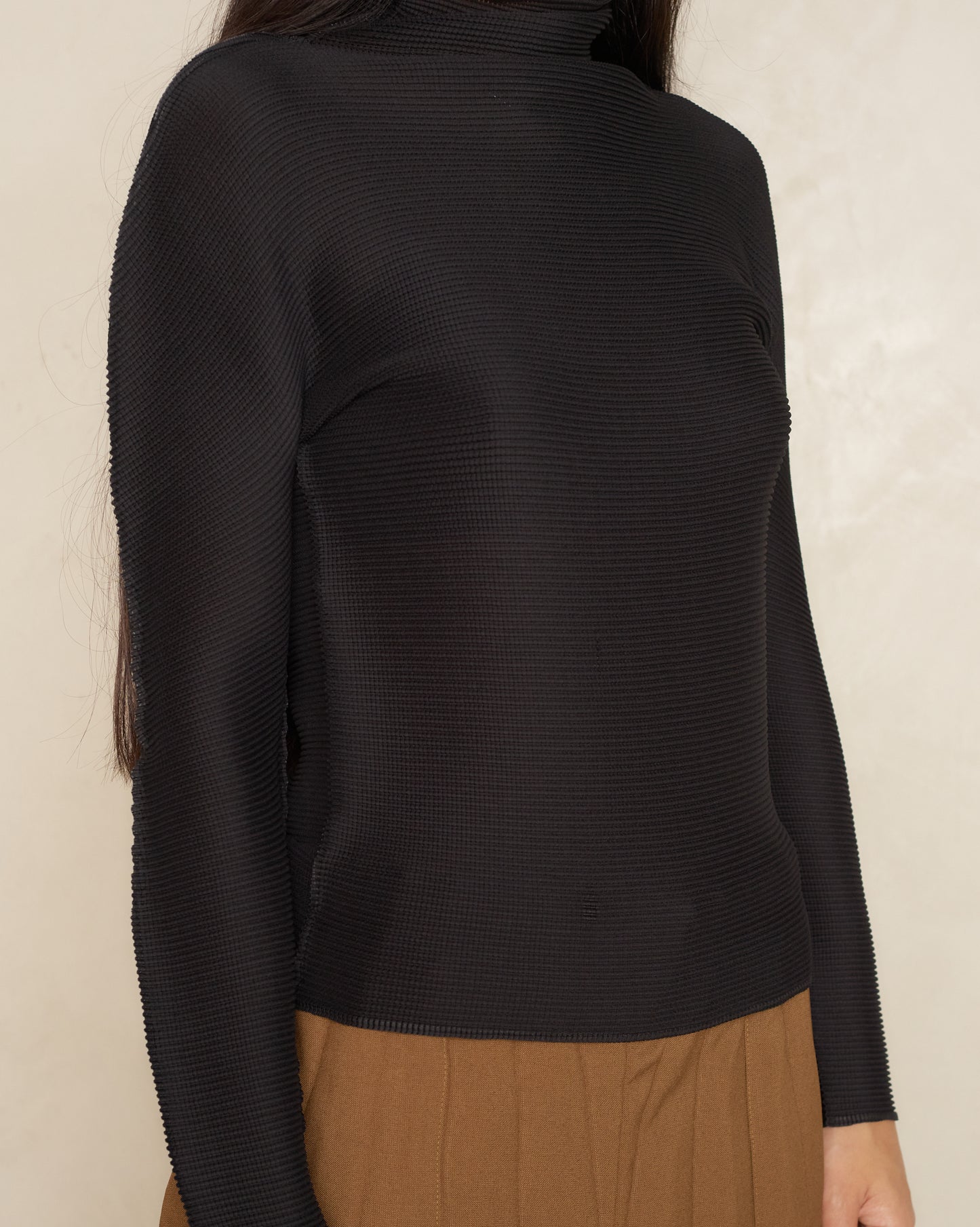 Black Micropleat High Neck Long Sleeve Top