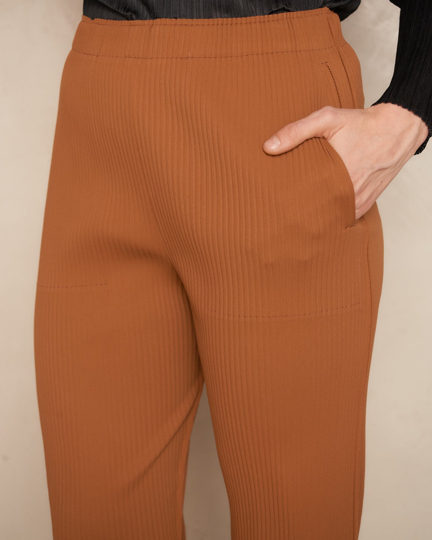 Brick Fine Knit Pleat Pants