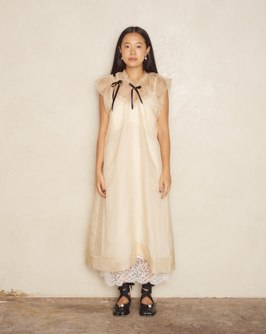 Biscuit Silk Organza Midi Dress