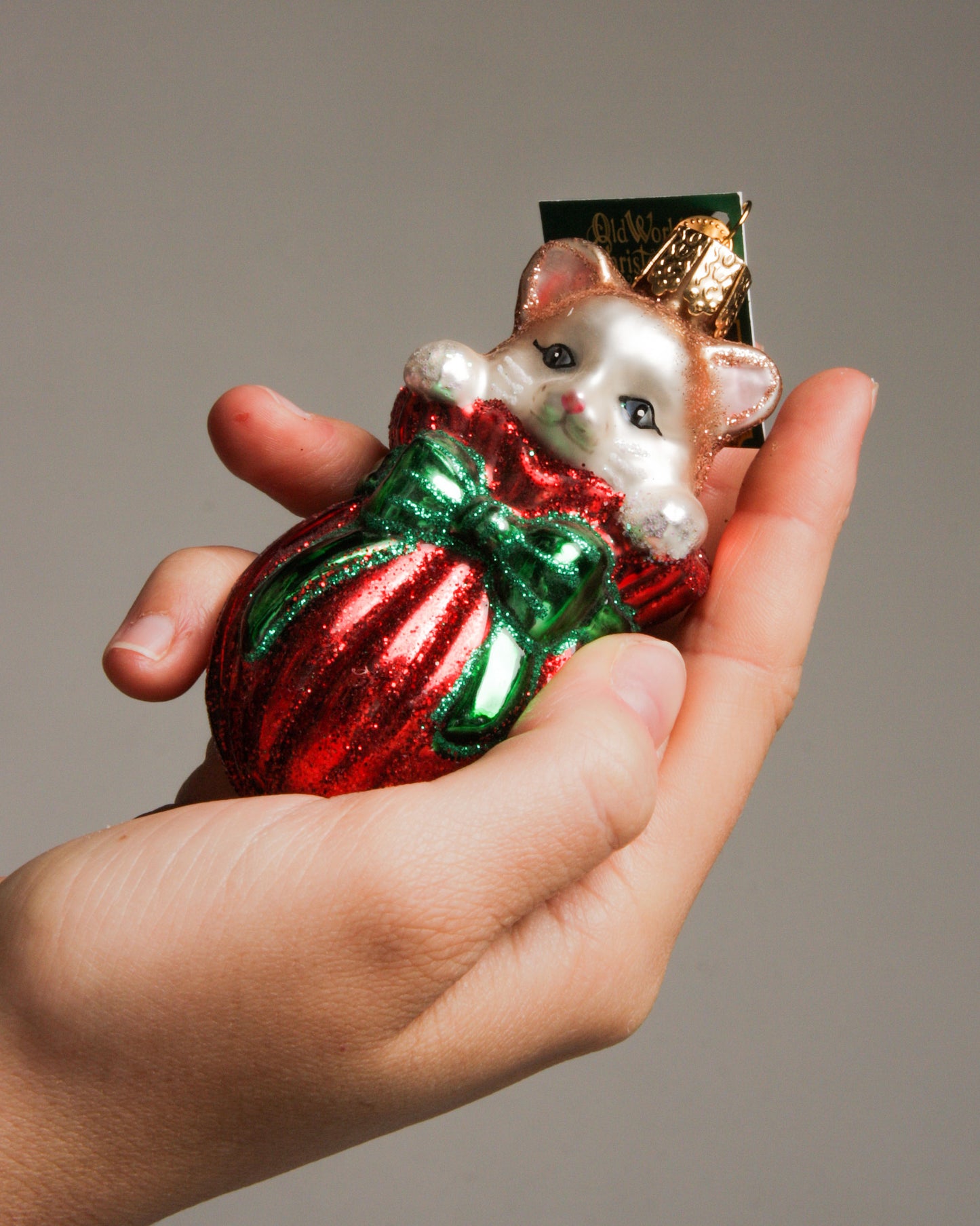 Letting The Cat Out of The Bag Ornament