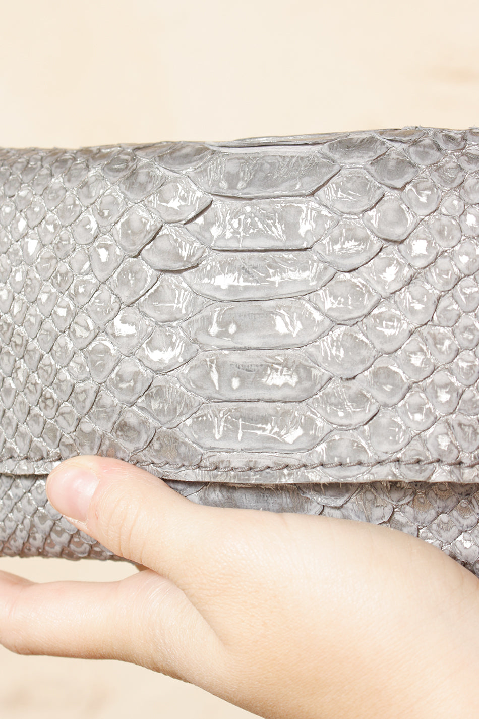 Anima Python Wallet Silver