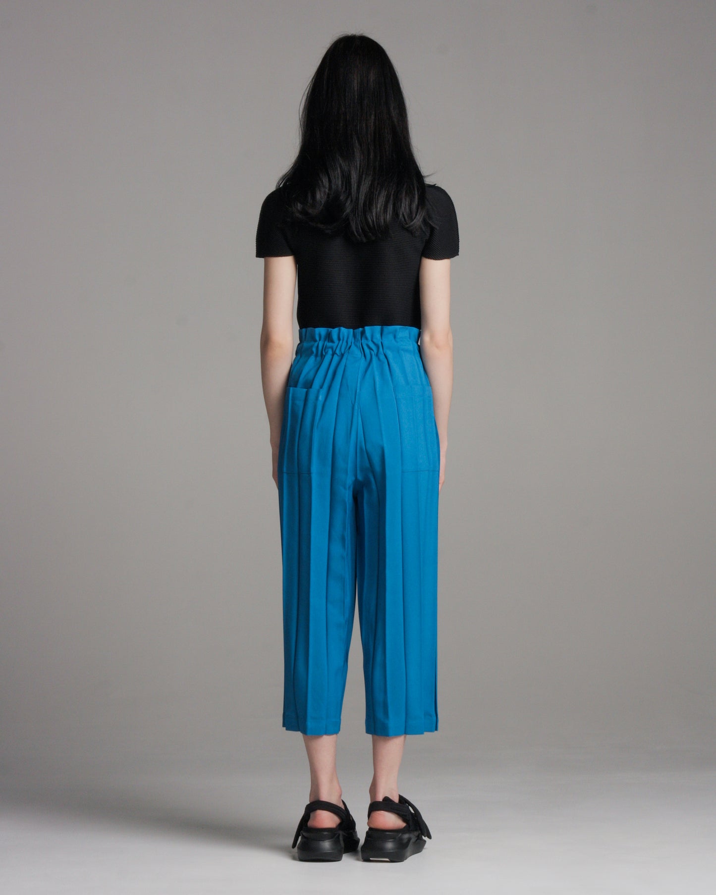 Wide Pleated Blue Cropped Pant