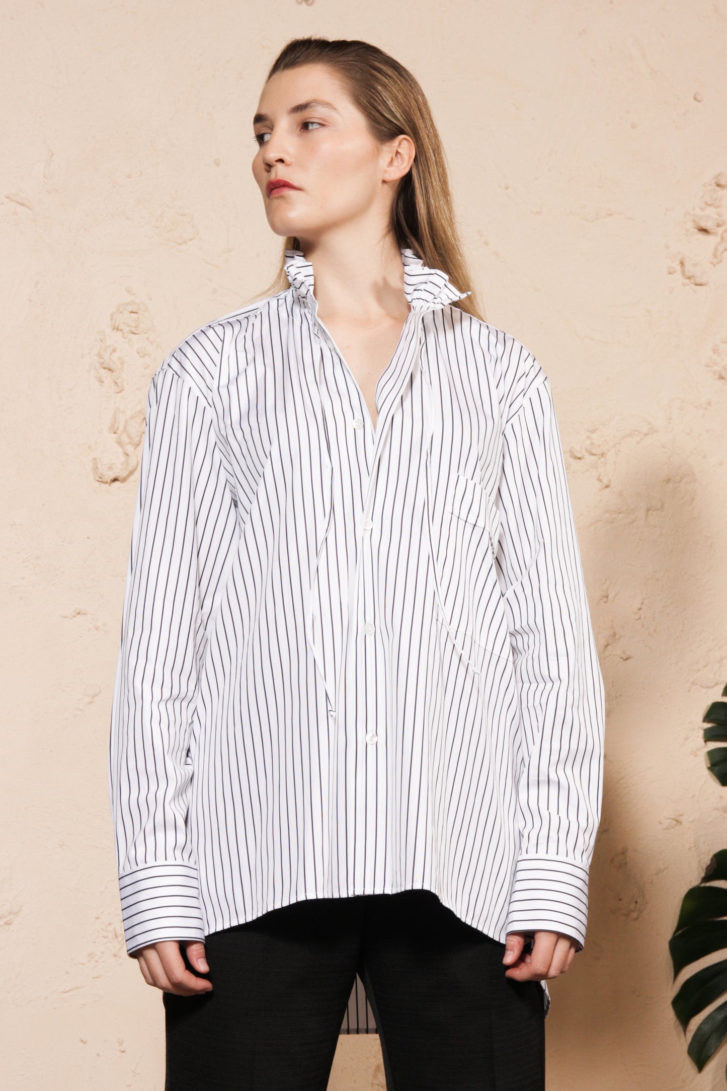 Frill Collar Striped Shirt