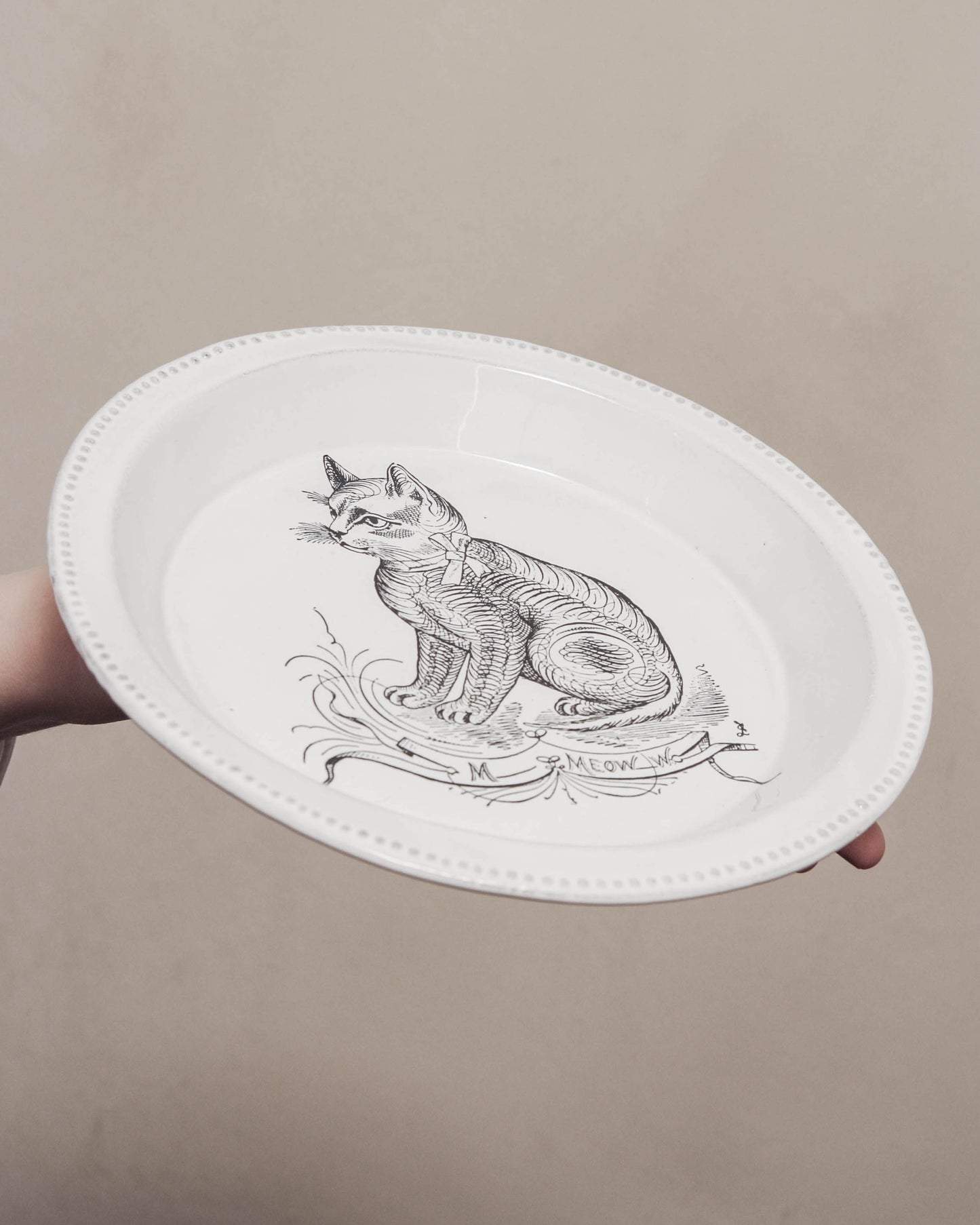 Scenario Cat Soup Plate