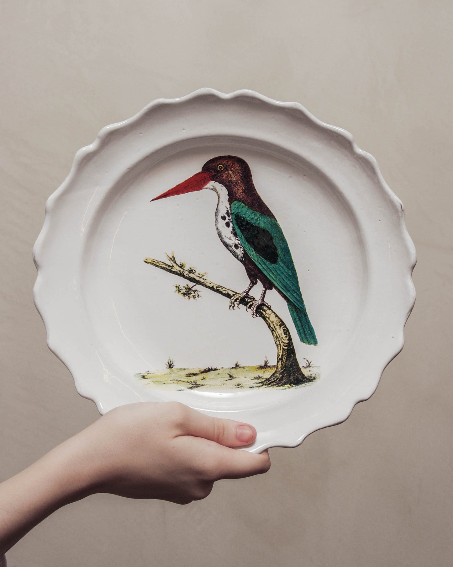 John Derian Flameback Soup Plate