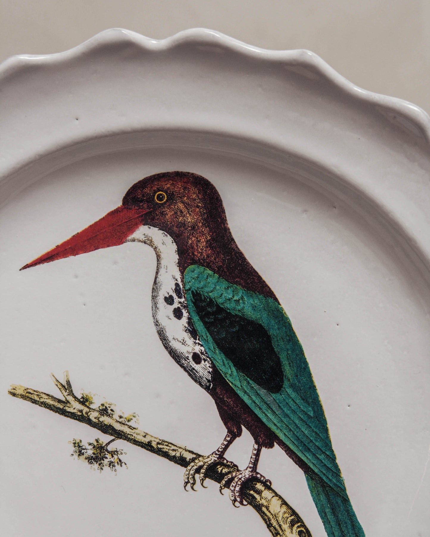 John Derian Flameback Soup Plate