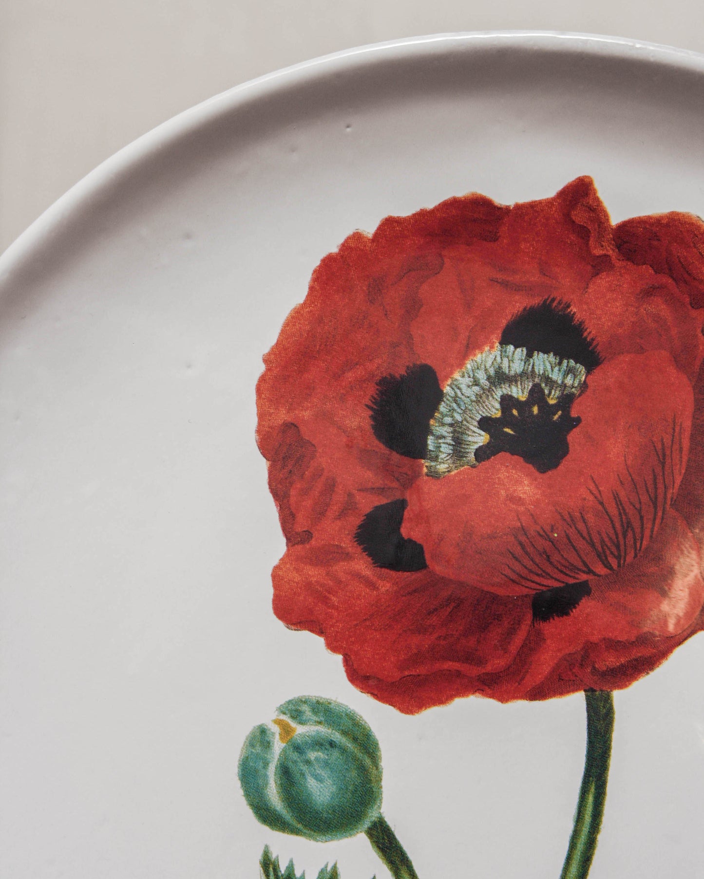 John Derian Orange Flower Dinner Plate