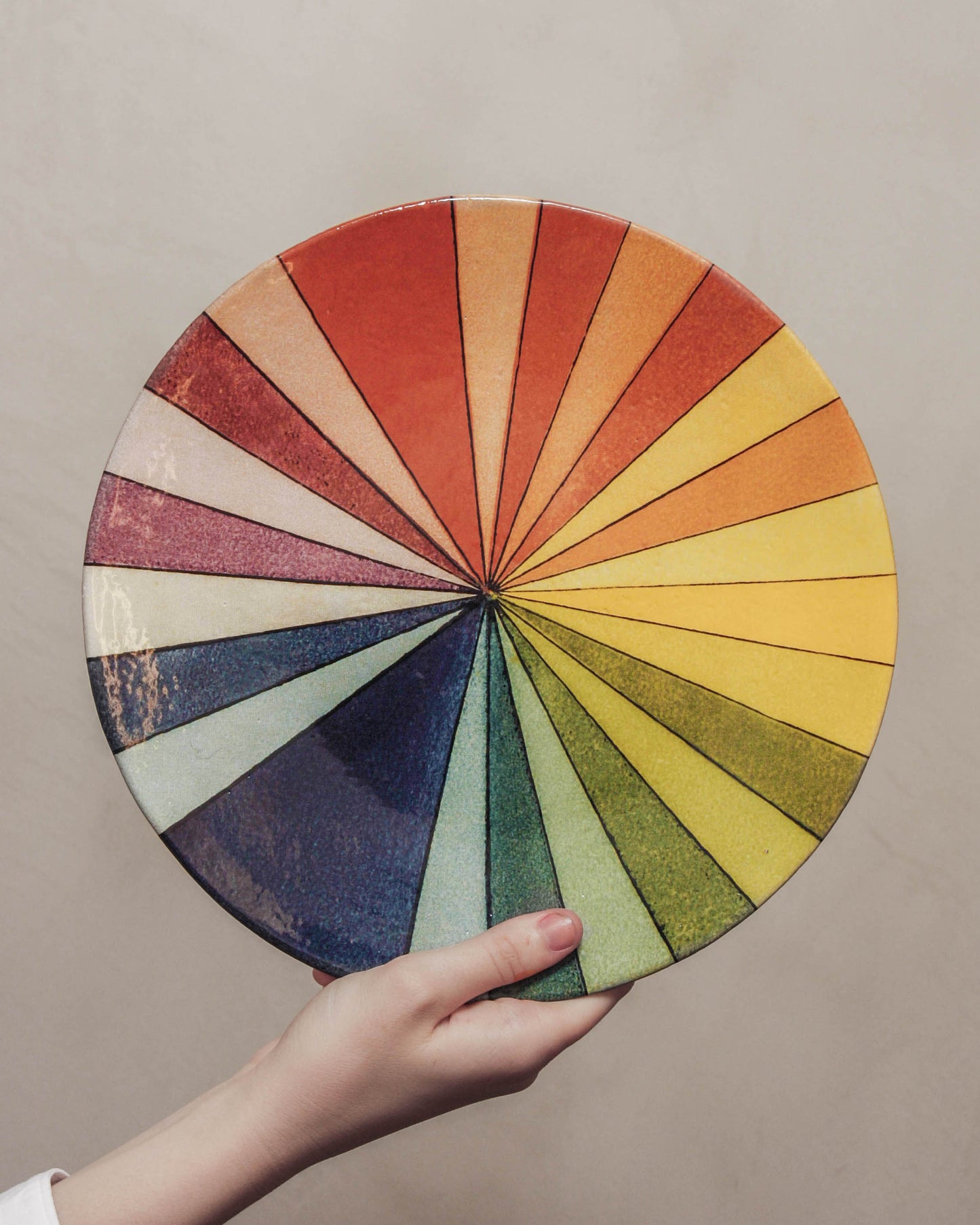 Colour Wheel Dinner Plate