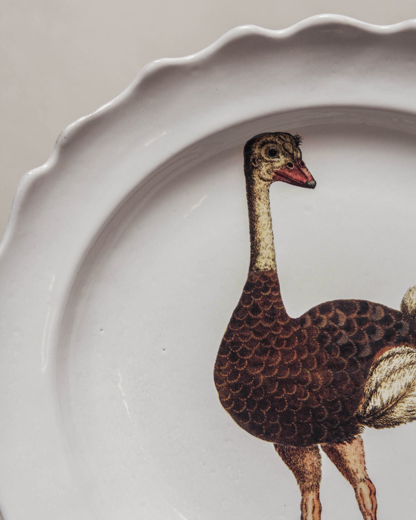 John Derian Ostrich Soup Plate