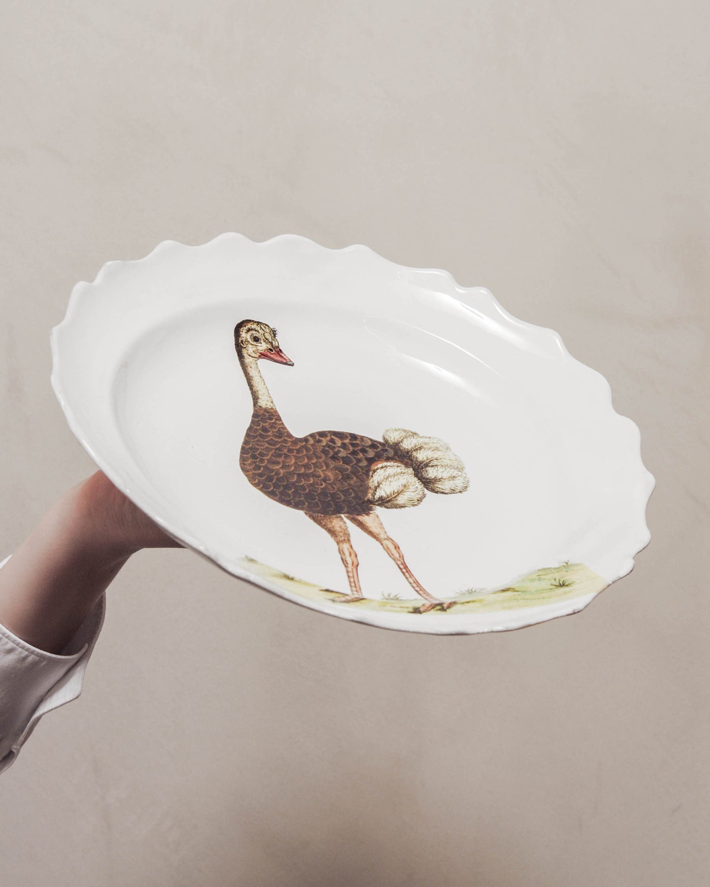 John Derian Ostrich Soup Plate