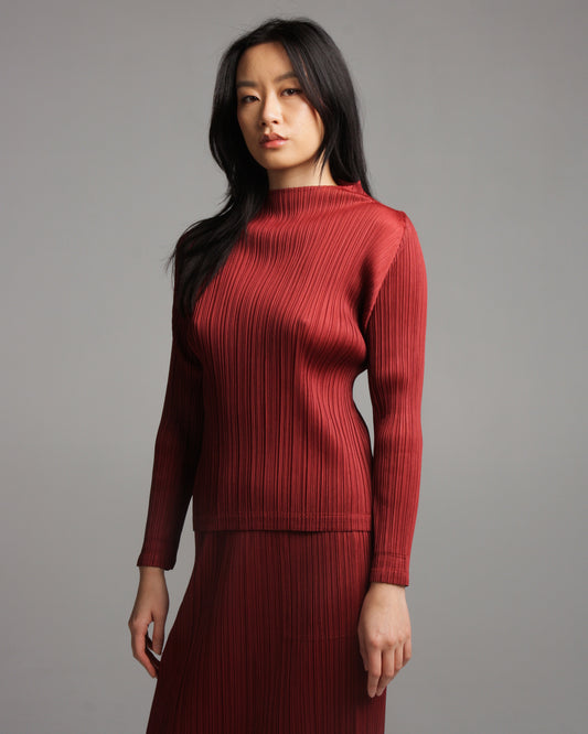 Turtle Neck Bordeaux Top