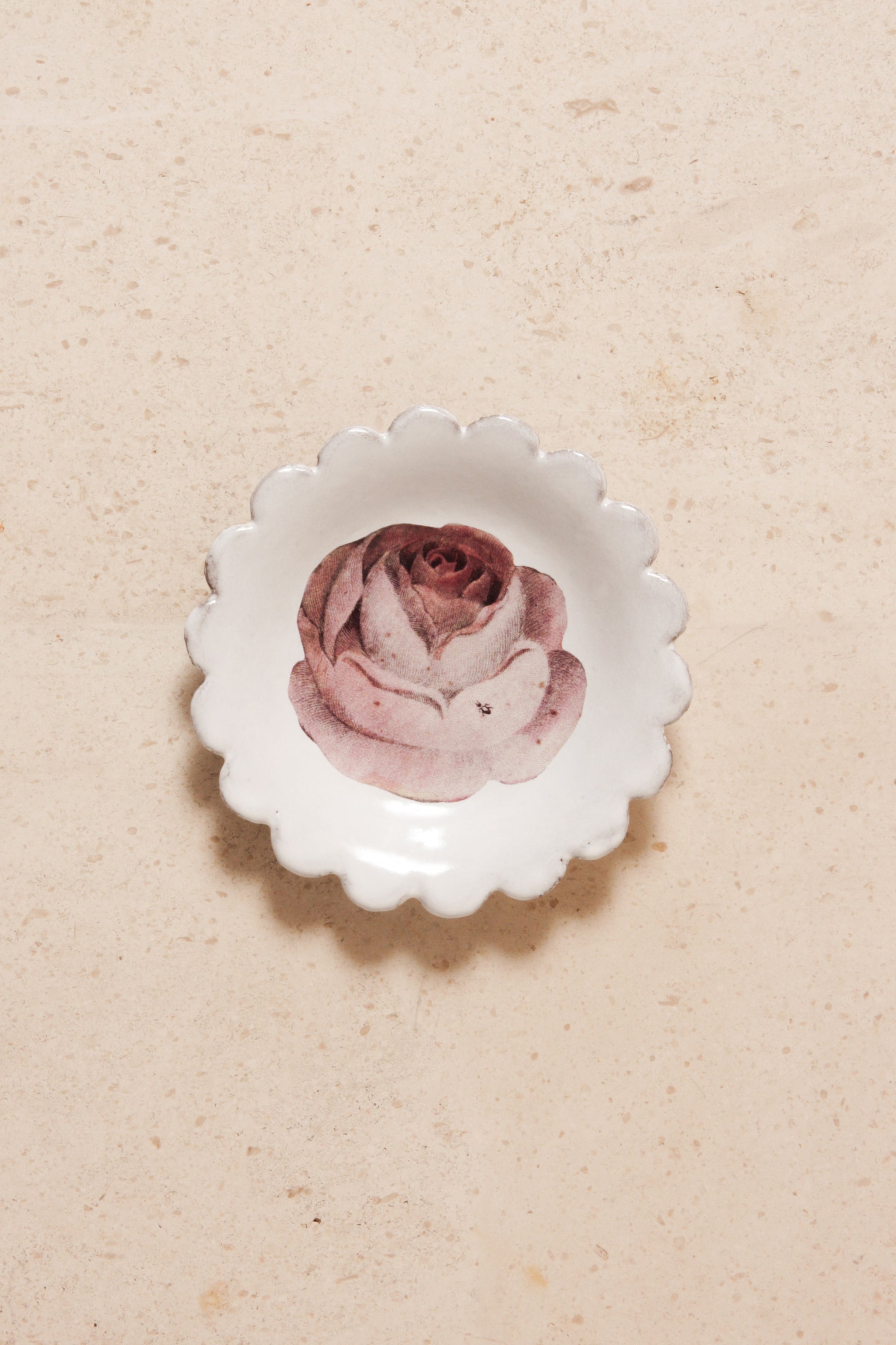 Rose and Insect Saucer – Dilettante