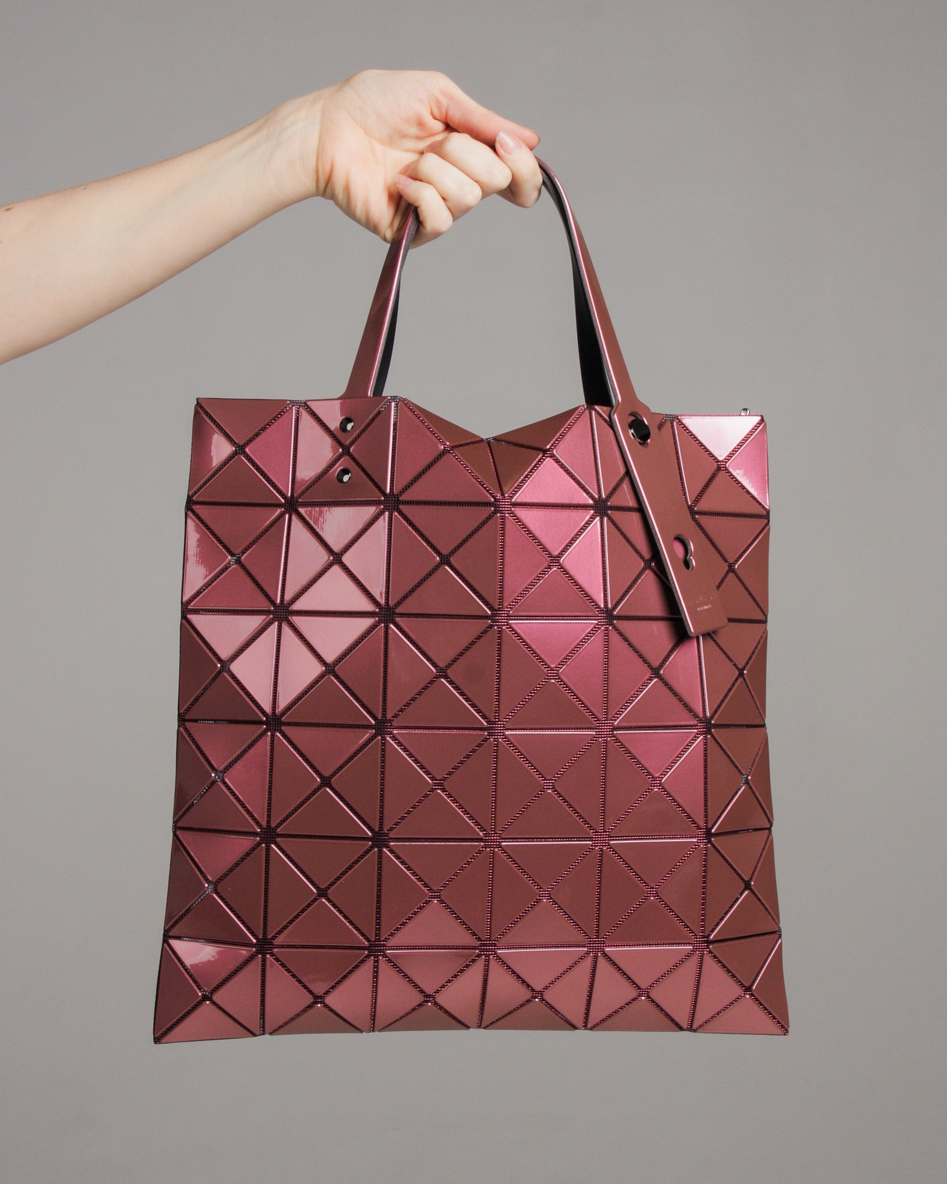 Burgundy One Tone Lucent Tote – Dilettante